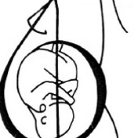 Chant pré et post natal