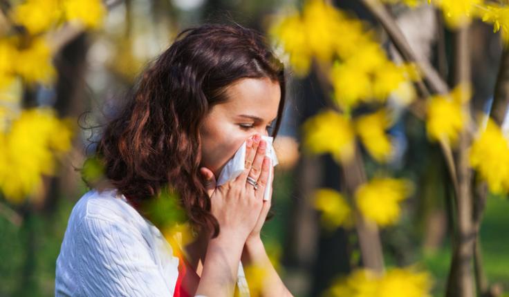 allergie pollen solutions.jpg