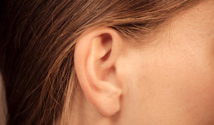 oreilles produits.jpg
