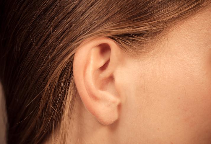 oreilles produits.jpg